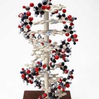 CAS：477-73--6、纯度：（for microscopy）、革兰氏番红溶液