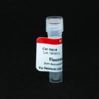 Fluorescein tyramide 96018