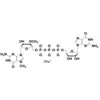ARCA帽类似物钠盐, 100mM