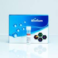 AccuGreen™ Standard 2, 100 ng/uL 99838-T