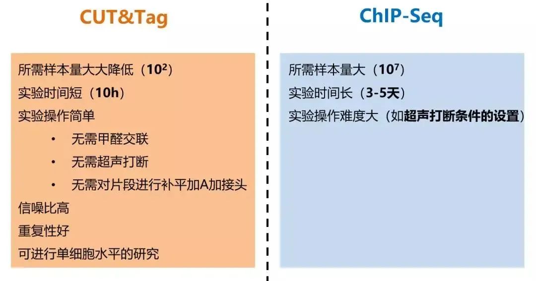 数十篇文献解析证实CUT&Tag如何完胜ChIP_公司新闻_丁香通