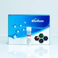 AccuGreen™ Standard 2, 10 ng/uL 99820-T