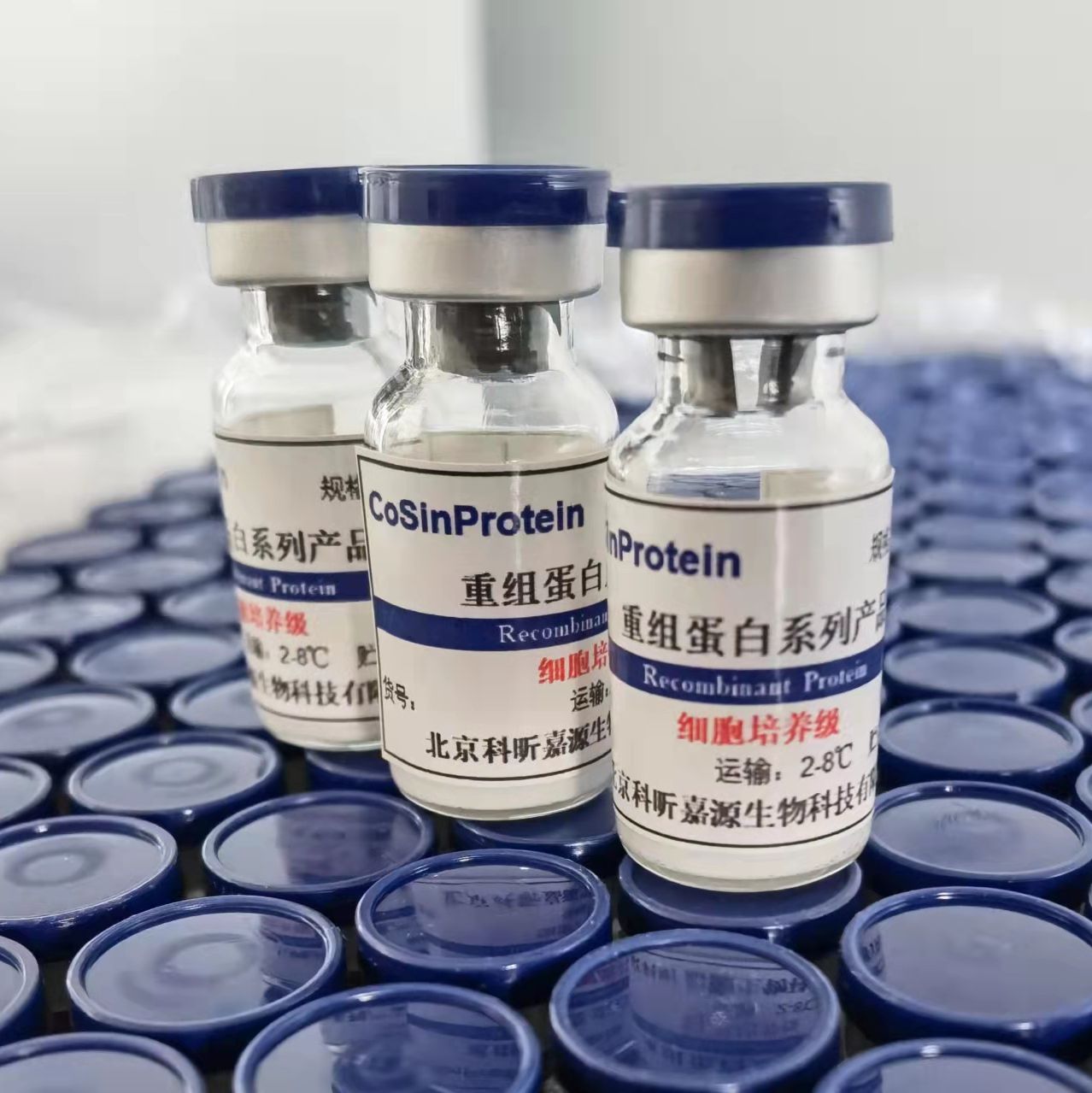 重组CRISPR-Cas13a蛋白