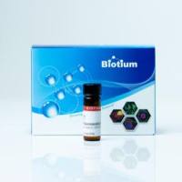 5-(and-6)-Carboxyrhodamine 6G, hydrochloride, 5mg 90120