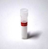 AccuClear® dsDNA Standard, 25 ng/uL 31029C