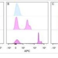 NucSpot® Far-Red, 1000X in DMSO 40085
