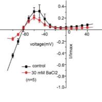 CiPA心脏多离子通道效应-Kir2.1检测