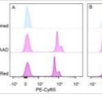 NucSpot® Far-Red, 1000X in DMSO 40085-T