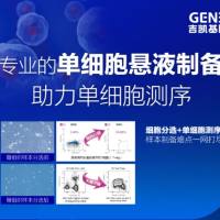 单细胞核测序