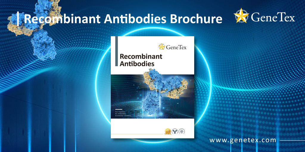 下载 GeneTex 的 Recombinant Antibodies 小册