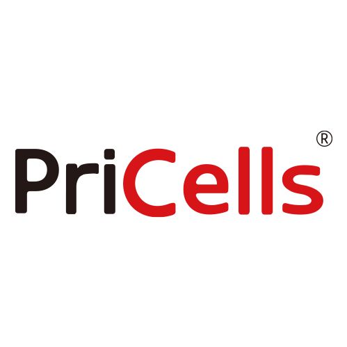 PriCells-大兔心肌细胞