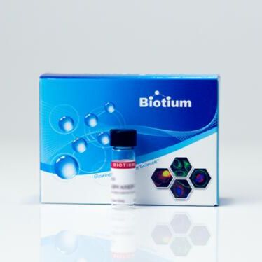 MTS-5-Tetramethylrhodamine (MTS-5-TAMRA) 91053