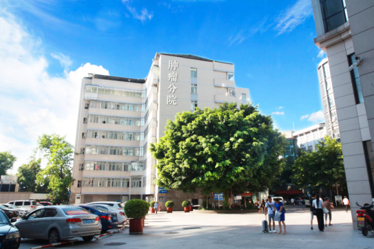重庆大学附属三峡医院