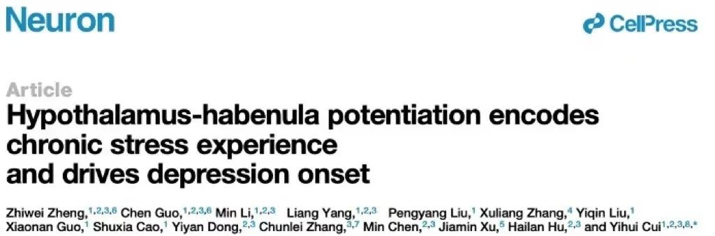 浙大崔一卉团队破解慢性压力导致抑郁的时空动态密码