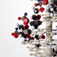 CAS:327-97-9、≥98% (HPLC)、绿原酸