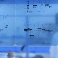 CAS：1168-42-9、≥95% (HPLC)、四-O-甲基黄芩素