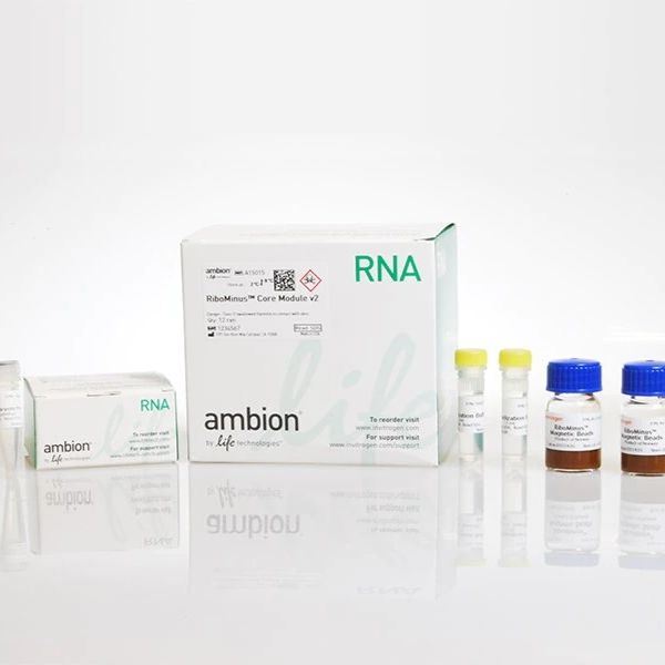 Thermo Scientific 分子生物学试剂和试剂盒-RNA 制备和纯化