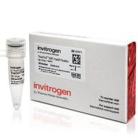 Thermo Scientific 酶和抑制剂-修饰酶