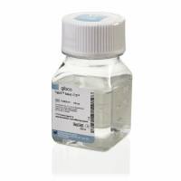 Gibco CTS TrypLE™ Select 酶 货号: A1285901