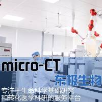 micro-CT