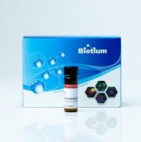 N-(6-AMINOHEXYL)MALEIMIDE, TRIFLUOROACETATE 91051