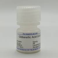 赤霉素GA3