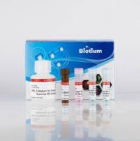 活性PCR起始试剂盒,200 assays 31075