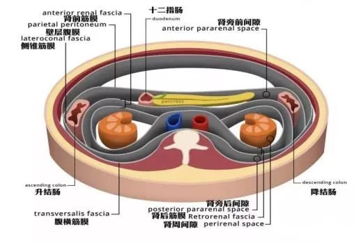 高尚病例:腹膜后肉瘤复发一例 PET/CT 表现