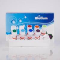 AccuBlue宽量程双链DNA定量标准，一套九个, 0.5 mL each 31007C