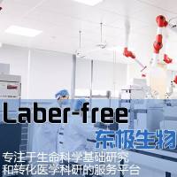 Laber-free