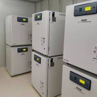 PK指导的细胞增殖实验