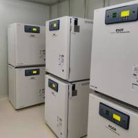 iPSC来源的肿瘤细胞系筛选