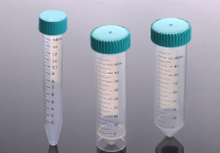 Rabbit Anti-Ribonuclease H antibody