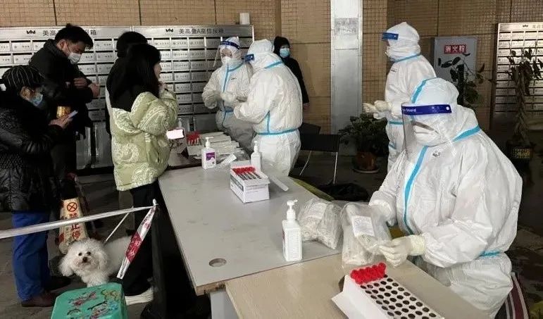 今日医墩墩已上线,请自提