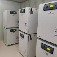 Barcoded Ba/F3 稳转激酶细胞系