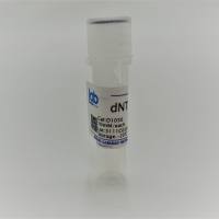 dNTP(500ul,10mM/each)