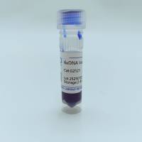 6X DNA Loading Buffer