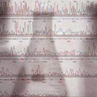 CAS：58543-16-1、≥98% (HPLC)、莱鲍迪甙A