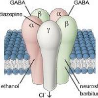 GABA离子通道检测