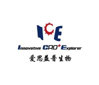 Kir2.1离子通道检测