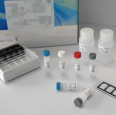 人Ⅲ型前胶原肽(PⅢNP)ELISA试剂盒