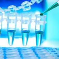 CAS:68-41-7、≥98% (TLC)、D-环丝氨酸