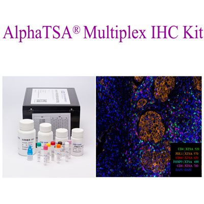 AlphaTSA®多靶点免疫组化染色试剂盒