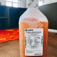 HyClone 新西兰胎牛血清 SH30406.06