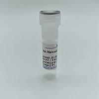 HA-Nanoab-Agarose