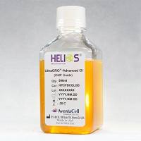 Helios Ultra GROTM -Advanced GI，γ射线照射