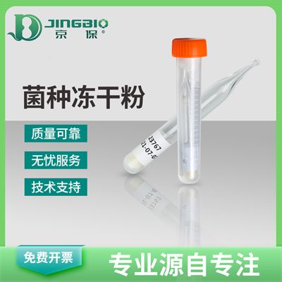 嗜热脂肪地芽胞杆菌ATCC12980无菌保证用菌制药个人护理北京现货