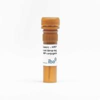 StrepMAB-Classic, HRP conjugate 