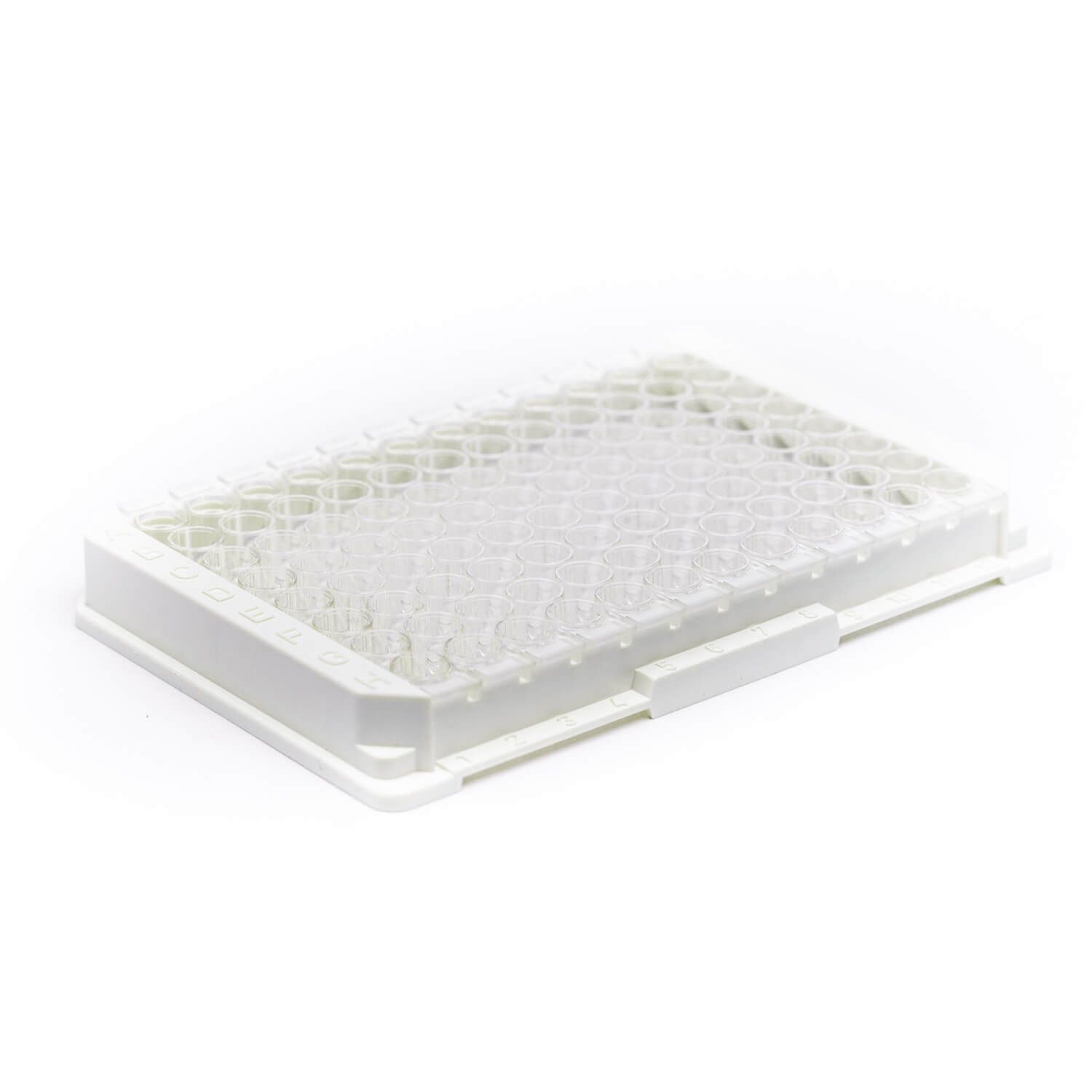 Strep-Tactin®XT coated microplate/包被板 