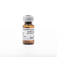 StrepMAB-Classic, purified, lyophilized 